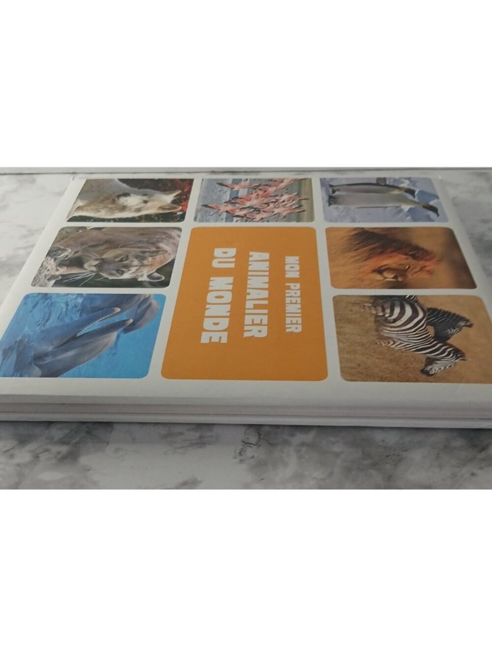 Mon Premier Animalier du Monde Auzou Livre Enfant Animaux Couverture Rigide - Picture 8 of 9